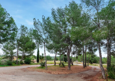 Pedralba_ermita