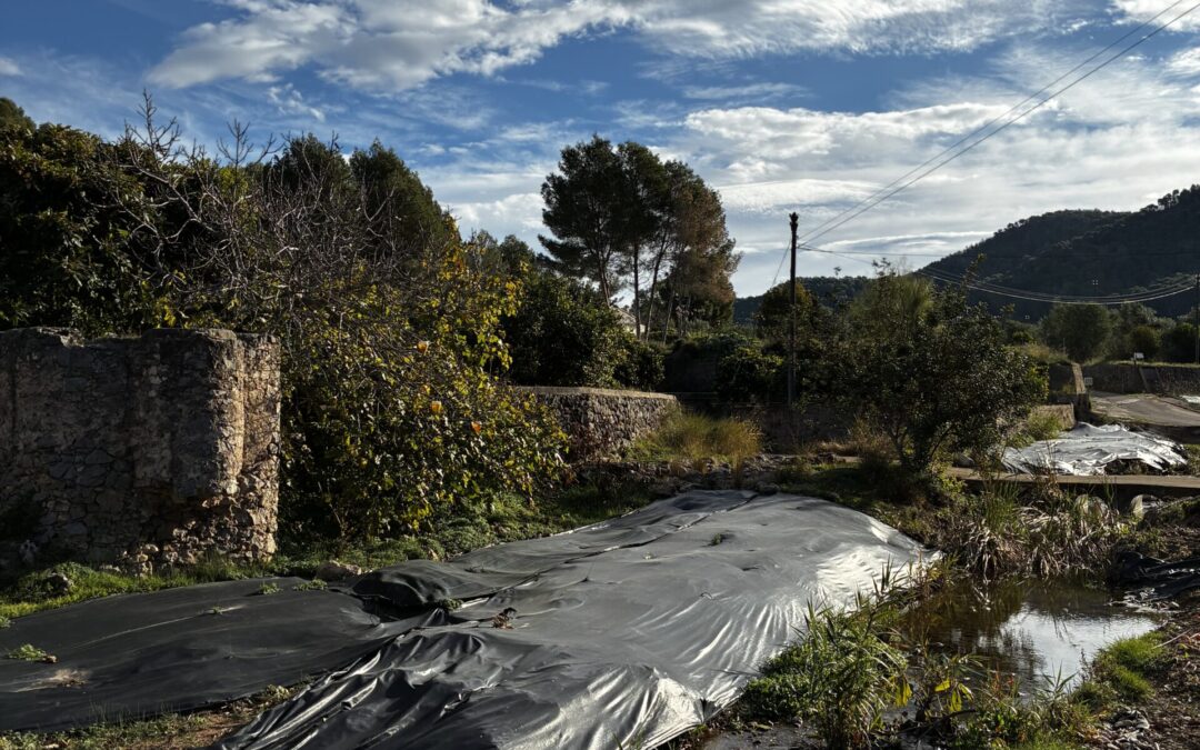Alfauir_Arquitectura_del_Agua_Noria_Canelles_es