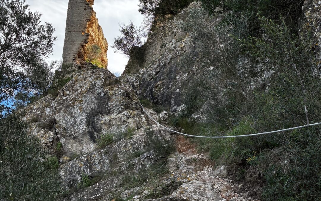 Alfauir_Castillo_Palma_es
